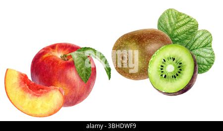 Aquarelle nectarine réaliste et illustration kiwi, ensemble de fruits frais et juteux Banque D'Images