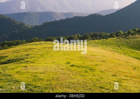 Des collines couvertes d'herbe verte s'étendent au loin, encadrées par des montagnes. La douce lumière du coucher de soleil projette une lueur chaude sur le paysage, en Banque D'Images