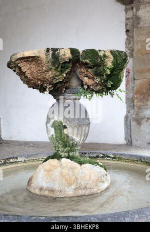 Une fontaine ornée de pierre couverte de mousse se trouve dans la cour du monastère Santa Maria à Alcobaca, Portugal Banque D'Images