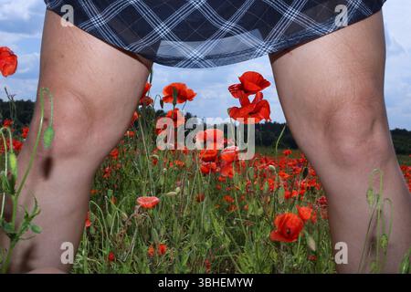 Gros plan sur la nature d'un tournesol en pleine floraison un jour d'été, debout haut dans un champ vibrant sous un ciel bleu. Banque D'Images