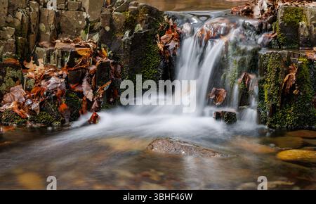 Une douce cascade boisée coule sur des formations rocheuses moussues, entourées de feuilles d'automne tombées et d'un ruisseau lisse et clair dans une forêt. Banque D'Images