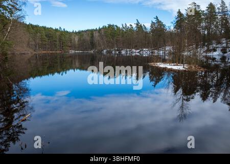 Lac Barsjon à Vedema, en Suède, présentant les reflets d'une forêt de pins et d'une petite île enneigée sous un ciel bleu vif. Banque D'Images