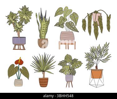 Ensemble de vecteurs de plantes d'intérieur en pot isolés sur blanc Illustration de Vecteur