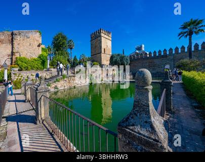Vue sur les jardins et les étangs de l'Alcazar image capturée à Cordoue, Andalousie, Espagne Banque D'Images