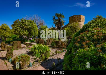 Vue sur les jardins et les étangs de l'Alcazar image capturée à Cordoue, Andalousie, Espagne Banque D'Images