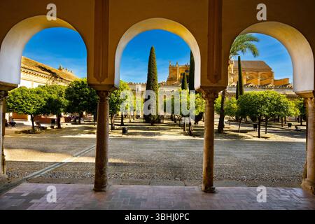 Patio des orangers à la Mezquita, Mosquée Cathédrale de Cordoue. Espagne Banque D'Images