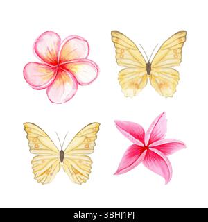Papillons jaunes, fleurs de plumeria tropicales roses ensemble d'illustration aquarelle. Peint à la main pour la conception textile, emballage d'été, décor de mariage Banque D'Images