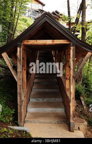 Escalier en bois couvert dans le village de Drvengrad Serbie, menant en montée à travers une végétation luxuriante. Banque D'Images