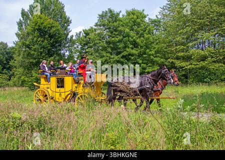 Corne de soufflage de postillion, passagers, cale entre prairies, Verein Postkutsche Lüneburger Heide e.V., Klecken, Rosengarten, basse-Saxe, Allemagne Banque D'Images