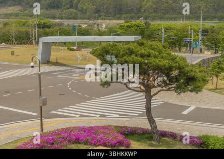 Muju, Corée du Sud. 1er mai 2019 : arbre à feuilles persistantes taillé et azalées violettes au coin de la porte d'entrée de Taekwondowon avec des montagnes en arrière-plan Banque D'Images