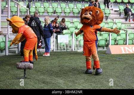 Groningen, pays-Bas. 10 juin 2025. GRONINGEN, 10-06-2025, Euroborg Stadium, European Qualifiers Football, saison 2024/2025. Match entre les pays-Bas et Malte . Crédit Lions néerlandais : Pro Shots/Alamy Live News Banque D'Images