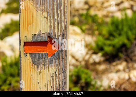 Panneau de signalisation rustique en bois avec flèche directionnelle orange vif à l'extérieur Banque D'Images