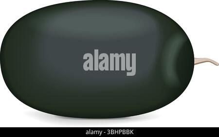 Kiran Watermelons. Boîte à glace pastèque. Citrullus lanatus. Fruits et légumes. Illustration vectorielle isolée. Illustration de Vecteur