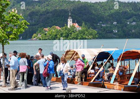 Touristes embarquant des bateaux traditionnels en bois au lac de Bled avec l'église de l'Assomption en arrière-plan, Slovénie. Photo de haute qualité Banque D'Images