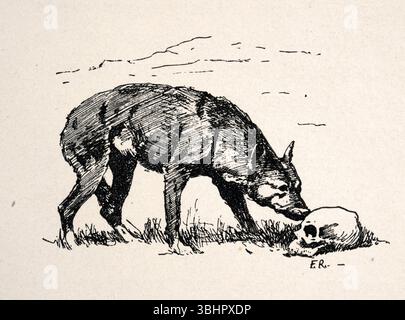 Croquis et crâne humain sur le sentier de l'Oregon, histoire du Far West, illustration vintage, XIXe siècle Banque D'Images