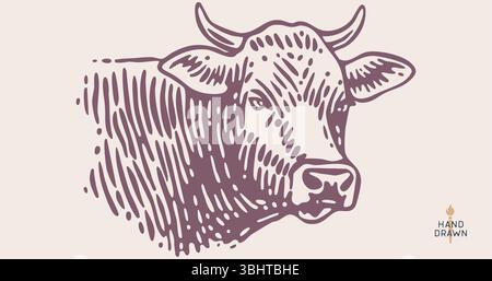 Tête de vache, taureau, boeuf. Style rétro Illustration de Vecteur