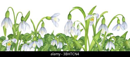 Bordure florale sans couture avec des fleurs blanches de gouttes de neige et des feuilles de lierre vertes. Bordure décorative printanière. Clipart de jardin de printemps. Aquarelle dessinée à la main i Banque D'Images