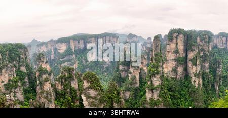 Vue panoramique de la falaise de montagne Zhangjiajie dans Wulingyuan Hunan Chine Banque D'Images