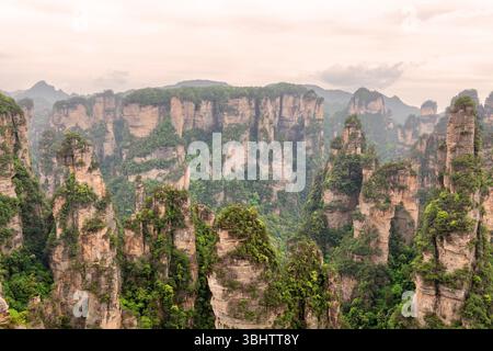 Parc forestier national de Zhangjiajie, au coucher du soleil, Hunan, Chine Wulingyuan Banque D'Images