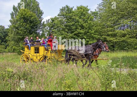 Postillion souffle corne, passagers, diligence voyageant à travers les prairies, Verein Postkutsche Lueneburger Heide e.V., Klecken, Rosengarten, Lower Sax Banque D'Images