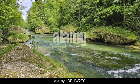 Une rivière calme coule à travers une forêt verdoyante, entourée de rochers et d'une végétation luxuriante Banque D'Images