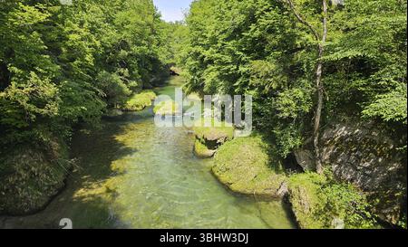 Une rivière calme coule à travers une forêt verdoyante sous un ciel dégagé Banque D'Images