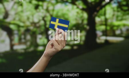 Main tenant un écusson du drapeau suédois à l'extérieur dans un parc, mettant en valeur la fierté nationale et l'identité culturelle dans un cadre naturel. Banque D'Images