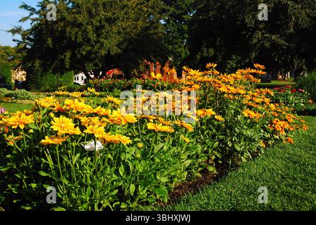Un beau jardin d'été luxuriant et des fleurs fleurissent dans un parc public Banque D'Images