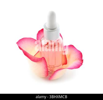 Bouteille d'huile cosmétique avec extrait de rose et pétales sur fond blanc Banque D'Images