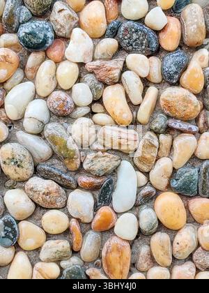 Vue rapprochée de divers galets colorés avec des textures variées Banque D'Images