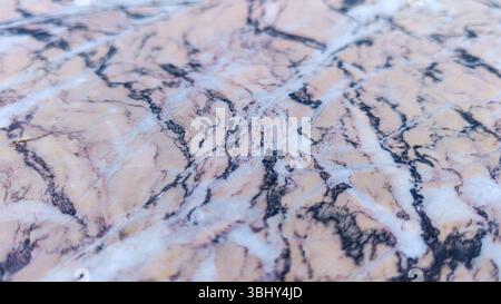 Texture de marbre détaillée avec des veines marron, blanche et noire Banque D'Images