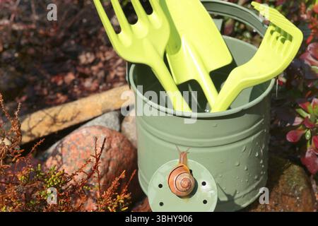 Escargot rampant sur l'arrosoir. Jardin et nature. Parasites et outils. Banque D'Images
