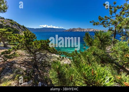 Plage de Jablanova sur l'île de KRK en Croatie, sentier bleu menant à une plage de galets vide, nature sauvage et végétation méditerranéenne luxuriante, panorama Banque D'Images