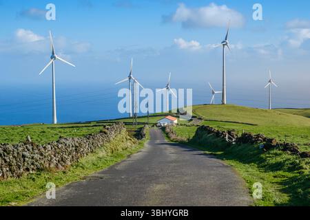 Une route rurale serpente à travers les collines verdoyantes de l'île de Terceira, ornée d'imposantes éoliennes sous un ciel bleu vif. Cette scène beautif Banque D'Images