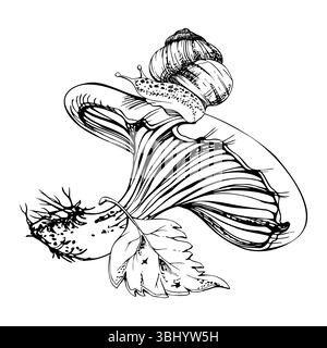 Champignon Russula cortinarius webcap, escargot rampant sur la casquette, feuille d'automne tombée. Plancher forestier, scène de jardin d'arrière-cour. Main d'illustration naturelle de champignons Illustration de Vecteur