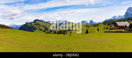 Vue panoramique sur l'Alpe di Siusi, avec prairies verdoyantes, cabanes en bois éparpillées et la spectaculaire montagne des Dolomites enneigée Banque D'Images