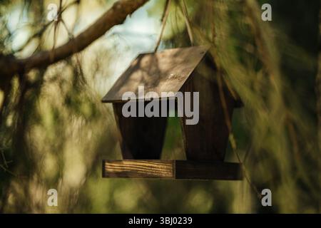 Un mangeoire à oiseaux en bois rustique pend gracieusement à une branche d'un pin, se fondant parfaitement dans l'environnement naturel, parfait pour attirer lo Banque D'Images