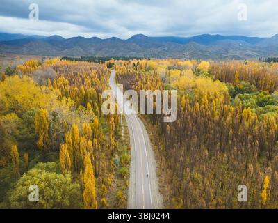 Superbe vue aérienne des couleurs d'automne dans la chaîne de montagnes des Andes en Argentine. Le paysage présente une route sinueuse à travers le jaune vif et l'orang Banque D'Images