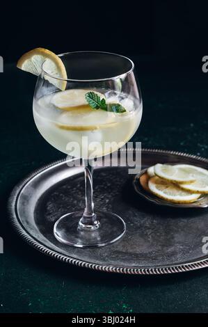 Un gin tonic rafraîchissant avec de la glace, des tranches de citron et une garniture de menthe servi dans un grand verre sur un plateau décoratif en métal, capturant un sophistiqué et classe Banque D'Images
