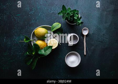 Les ingrédients frais pour un cocktail gin tonic sont affichés sur un fond sombre, avec des citrons vibrants, des feuilles de menthe aromatiques, du sucre grossier et un rus Banque D'Images