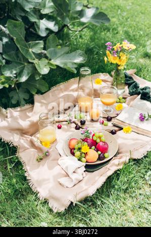 Une installation confortable de pique-nique sur une pelouse herbeuse avec une assiette de fruits vibrants comme des pêches, des raisins et des cerises, complétée par des verres de jus rafraîchissant, s. Banque D'Images