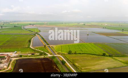 Rizières géométriques et canaux d'irrigation dans le nord de l'Italie Banque D'Images