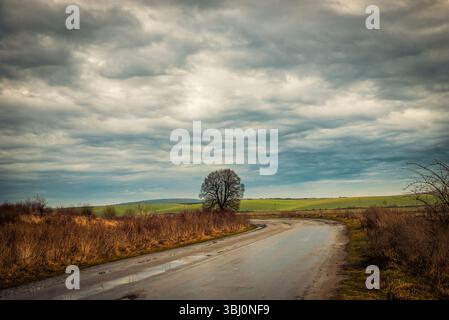 magnifique paysage avec arbre solitaire par route de campagne au milieu des champs Banque D'Images