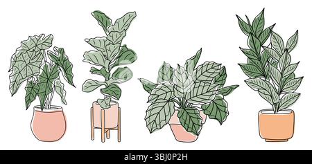 Plantes d'intérieur en pot dans un style de croquis coloré Illustration de Vecteur