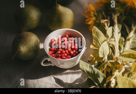 Airelles fraîches dans une tasse blanche avec des poires et des tournesols du marché des agriculteurs Banque D'Images