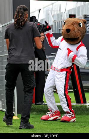 Montréal, Canada. 12 juin 2025. Atmosphère de paddock. 12.06.2025. Championnat du monde de formule 1, Rd 10, Grand Prix du Canada, Montréal, Canada, journée de préparation. Crédit : James Moy/Alamy Live News Banque D'Images