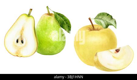 Aquarelle illustration de poire et de pomme réaliste, paire de fruits doux Banque D'Images