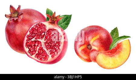Aquarelle illustration de grenade réaliste et nectarine, Juicy fruit Duo Banque D'Images