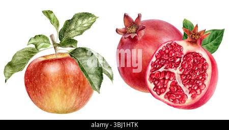 Aquarelle illustration réaliste de pomme et de grenade, composition de fruits frais Banque D'Images