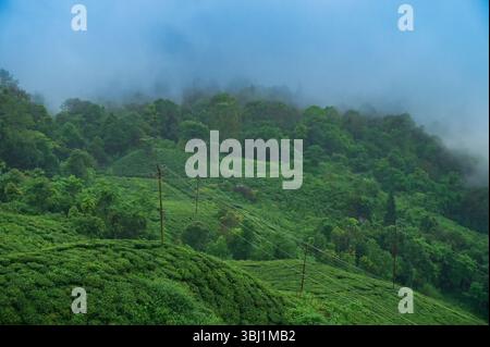 Nuages de mousson passant au-dessus des montagnes himalayennes de Darjeeling, au Bengale occidental, en Inde. Darjeeling est reine des collines et très pittoresque avec de belles scènes. Banque D'Images